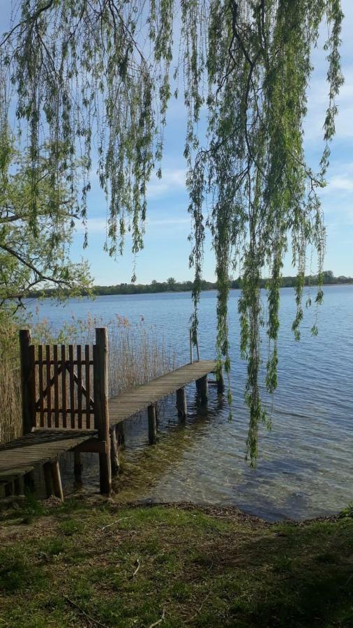 Appartements Am Schaalsee Zarrentin am Schaalsee Экстерьер фото